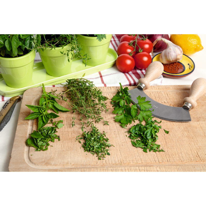 Buzzy® Aromatiques en pots Blanc